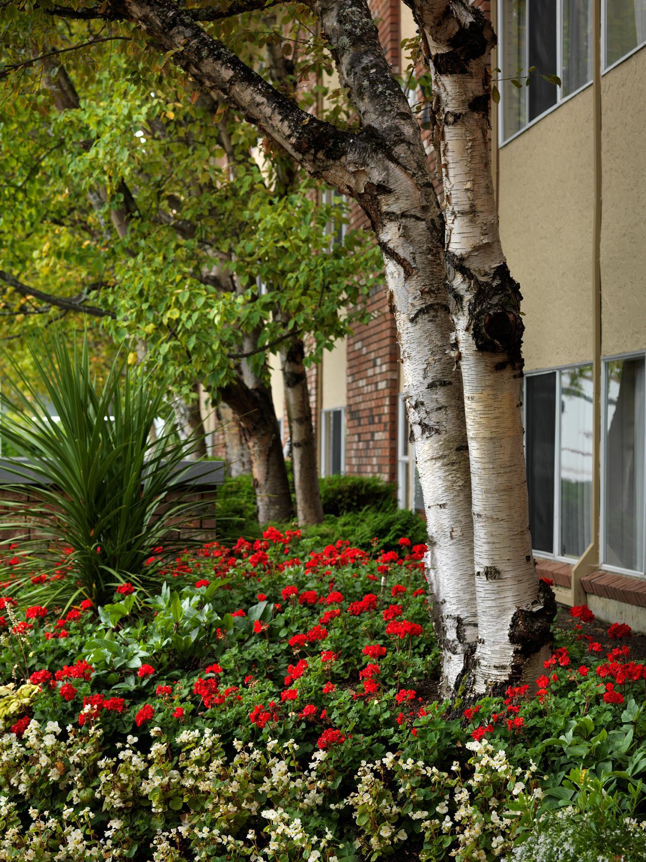 Royal Scot Hotel & Suites Victoria Bagian luar foto